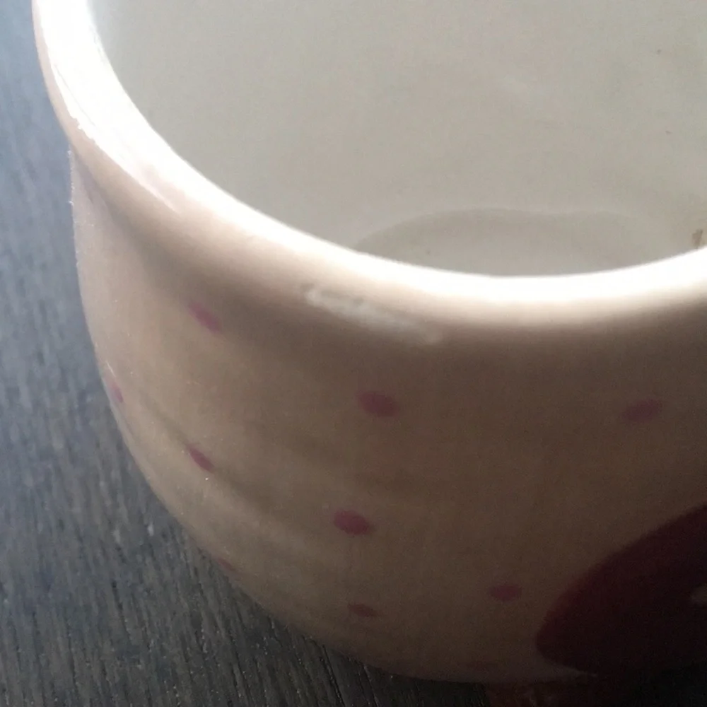 Pier 1 Imports Olli The Owl Mug